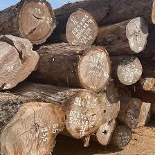 Madera rolliza